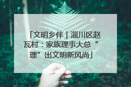 文明乡伴｜淄川区赵瓦村：家族理事大总“理”出文明新风尚