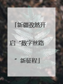新疆孜然开启“数字丝路”新征程