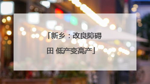 新乡：改良障碍田 低产变高产