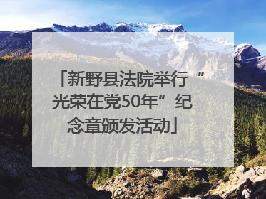 新野县法院举行“光荣在党50年”纪念章颁发活动