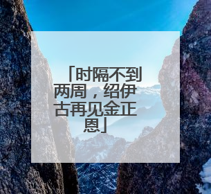 时隔不到两周，绍伊古再见金正恩