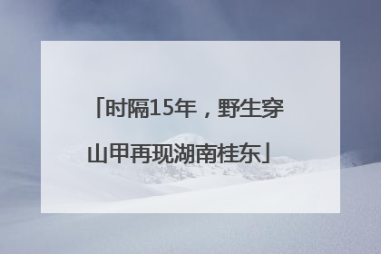 时隔15年，野生穿山甲再现湖南桂东