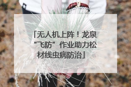 无人机上阵！龙泉“飞防”作业助力松材线虫病防治
