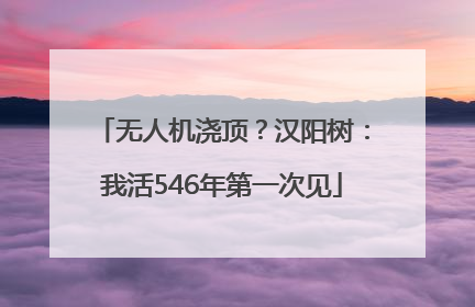 无人机浇顶？汉阳树：我活546年第一次见