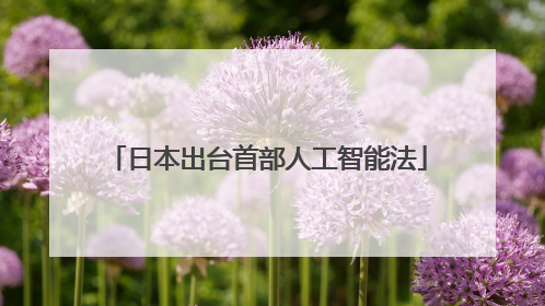 日本出台首部人工智能法