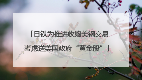 日铁为推进收购美钢交易 考虑送美国政府“黄金股”