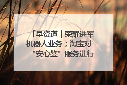 早资道｜荣耀进军机器人业务；淘宝对“安心鉴”服务进行逐步下线调整