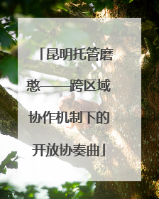 昆明托管磨憨——跨区域协作机制下的开放协奏曲