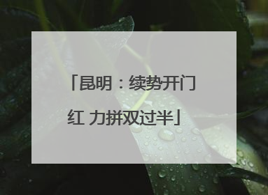 昆明：续势开门红 力拼双过半