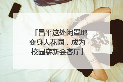 昌平这处闲置地变身大花园，成为校园崭新会客厅