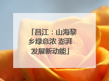 昌江：山海黎乡绿意浓 澎湃发展新动能