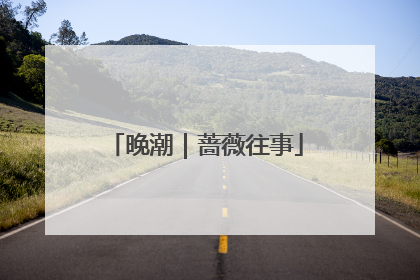 晚潮｜蔷薇往事