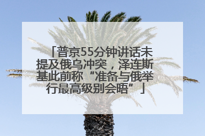 普京55分钟讲话未提及俄乌冲突，泽连斯基此前称“准备与俄举行最高级别会晤”