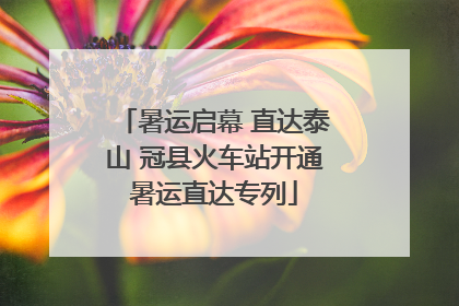 暑运启幕 直达泰山 冠县火车站开通暑运直达专列