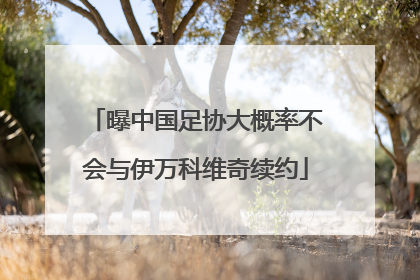 曝中国足协大概率不会与伊万科维奇续约