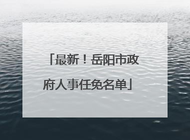最新！岳阳市政府人事任免名单