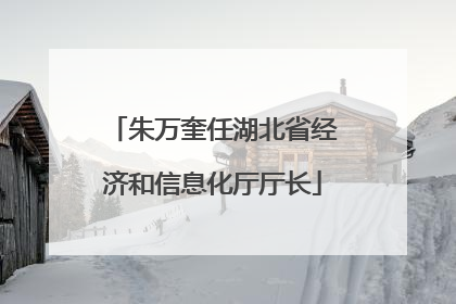 朱万奎任湖北省经济和信息化厅厅长