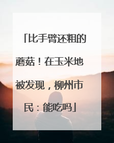 比手臂还粗的蘑菇！在玉米地被发现，柳州市民：能吃吗