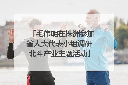 毛伟明在株洲参加省人大代表小组调研北斗产业主题活动