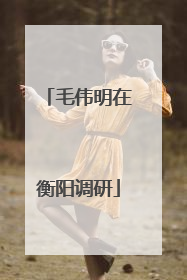 毛伟明在衡阳调研