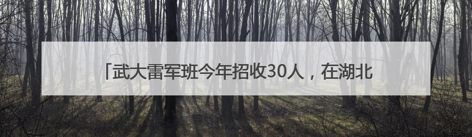 武大雷军班今年招收30人，在湖北招收5人，雷军亲自担任产业导师