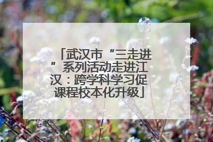 武汉市“三走进”系列活动走进江汉：跨学科学习促课程校本化升级