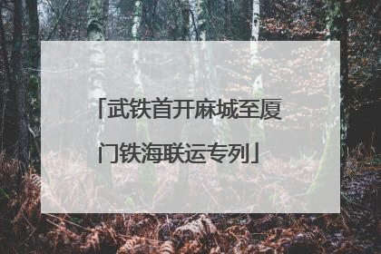 武铁首开麻城至厦门铁海联运专列