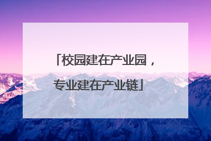 校园建在产业园，专业建在产业链