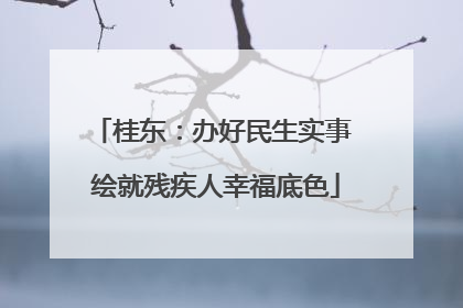 桂东：办好民生实事 绘就残疾人幸福底色