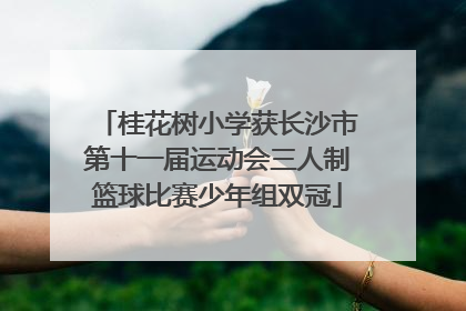 桂花树小学获长沙市第十一届运动会三人制篮球比赛少年组双冠