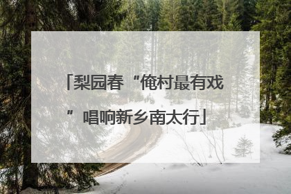 梨园春“俺村最有戏”唱响新乡南太行