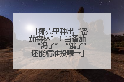 椰壳里种出“番茄森林”！当番茄“渴了”“饿了”还能精准投喂→
