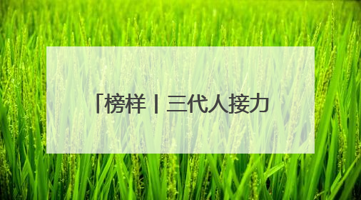 榜样丨三代人接力守护淮海战役总前委旧址：从祖屋到红色地标，他用一生续写传承故事