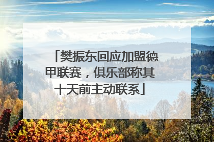 樊振东回应加盟德甲联赛，俱乐部称其十天前主动联系