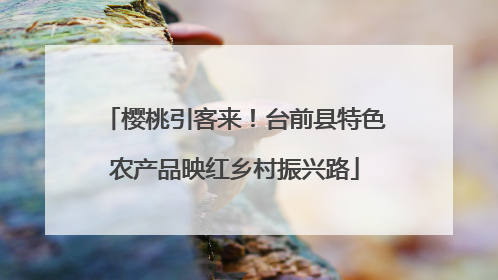 樱桃引客来！台前县特色农产品映红乡村振兴路