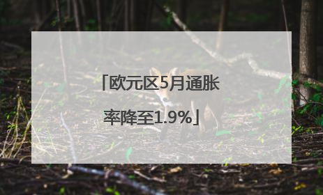 欧元区5月通胀率降至1.9%