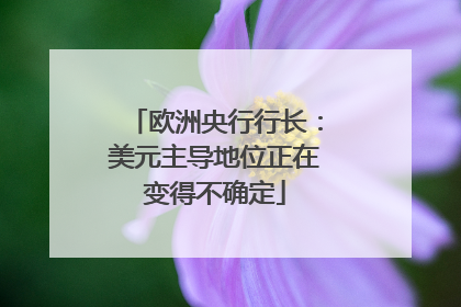 欧洲央行行长：美元主导地位正在变得不确定