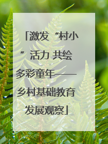 激发“村小”活力 共绘多彩童年——乡村基础教育发展观察