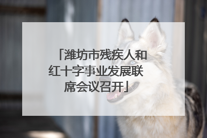 潍坊市残疾人和红十字事业发展联席会议召开