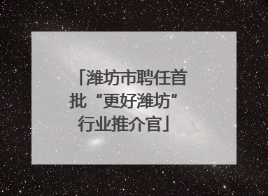 潍坊市聘任首批“更好潍坊”行业推介官