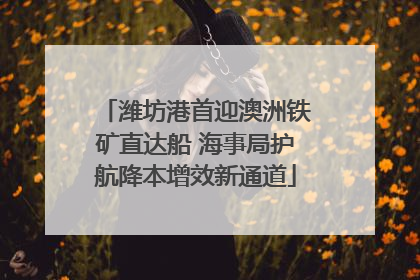潍坊港首迎澳洲铁矿直达船 海事局护航降本增效新通道