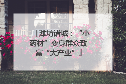 潍坊诸城：“小药材”变身群众致富“大产业”