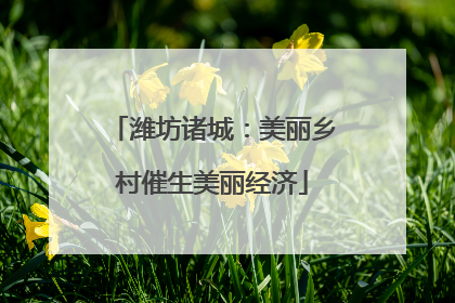 潍坊诸城：美丽乡村催生美丽经济