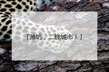 潍坊，二线城市！