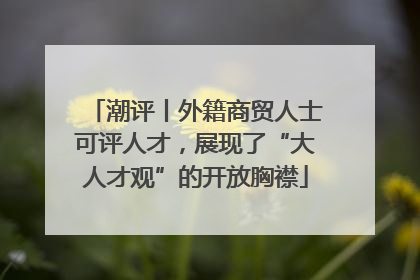 潮评丨外籍商贸人士可评人才，展现了“大人才观”的开放胸襟