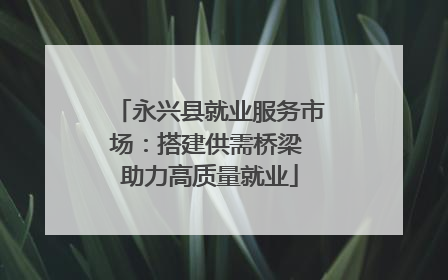永兴县就业服务市场：搭建供需桥梁 助力高质量就业