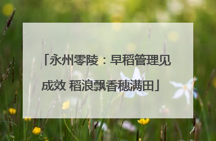 永州零陵：早稻管理见成效 稻浪飘香穗满田
