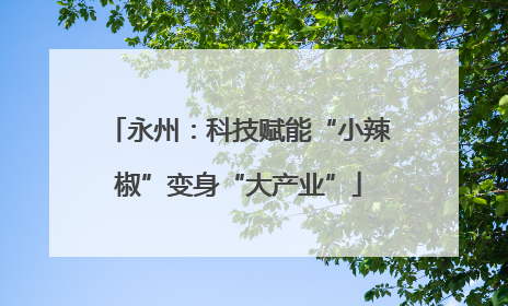 永州：科技赋能“小辣椒”变身“大产业”