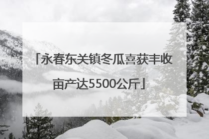 永春东关镇冬瓜喜获丰收 亩产达5500公斤