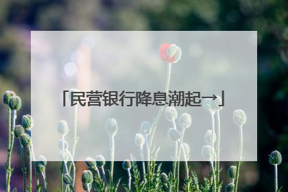 民营银行降息潮起→